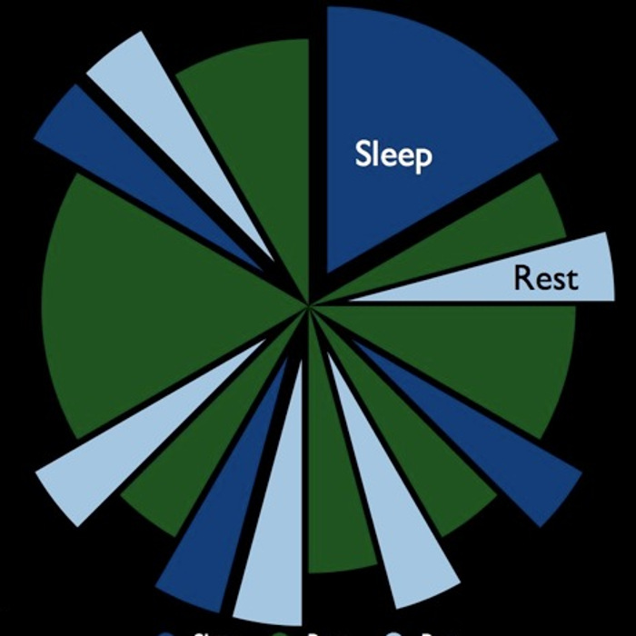 Polyphasic Sleep | 430 To Fit